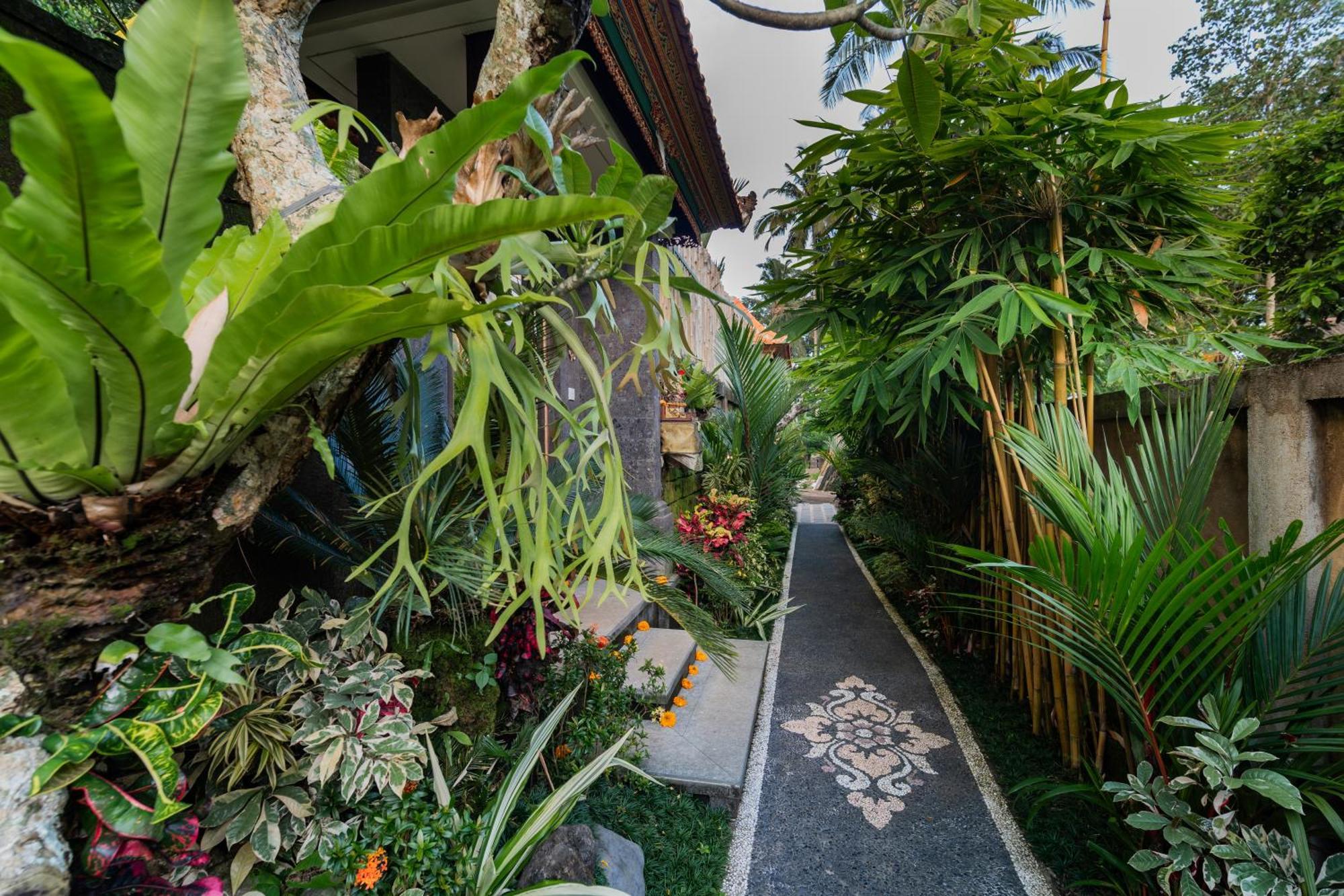 Jaya * Ubud (Bali)
