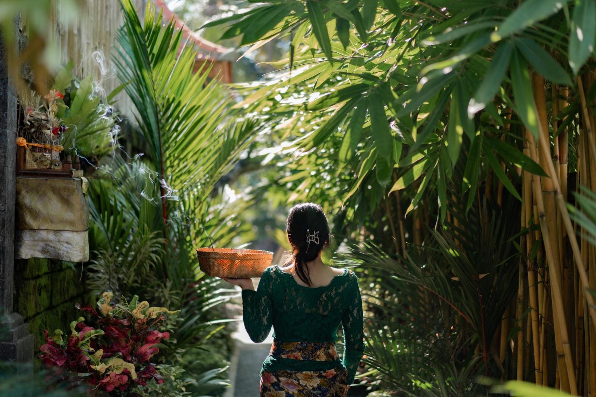 Jaya Ubud (Bali)